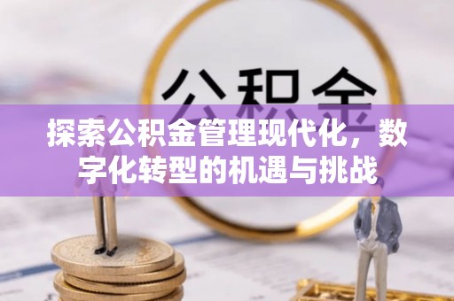 宜良探索公积金管理现代化，数字化转型的机遇与挑战