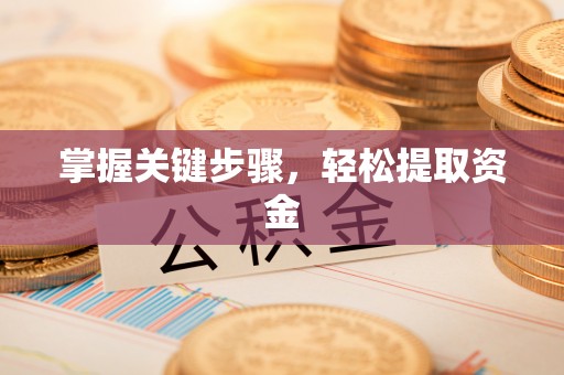 宜良掌握关键步骤，轻松提取资金