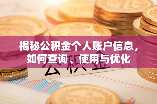 宜良揭秘公积金个人账户信息，如何查询、使用与优化