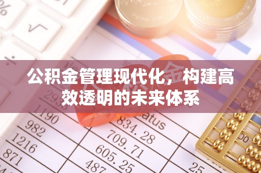 宜良公积金管理现代化，构建高效透明的未来体系