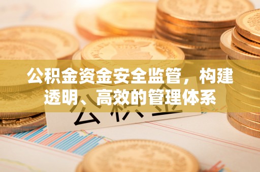 宜良公积金资金安全监管，构建透明、高效的管理体系