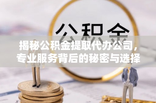 宜良揭秘公积金提取代办公司，专业服务背后的秘密与选择指南