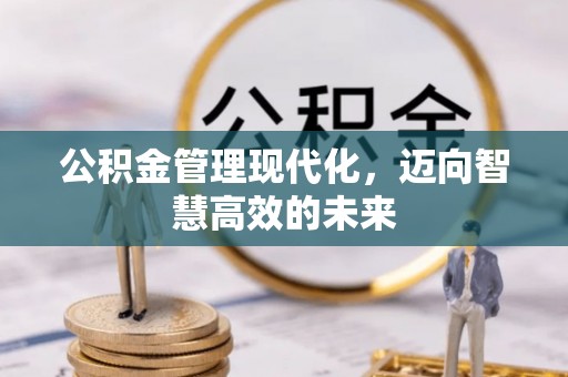 宜良公积金管理现代化，迈向智慧高效的未来
