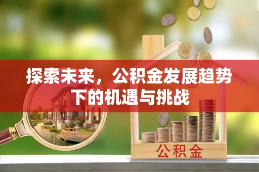 宜良探索未来，公积金发展趋势下的机遇与挑战