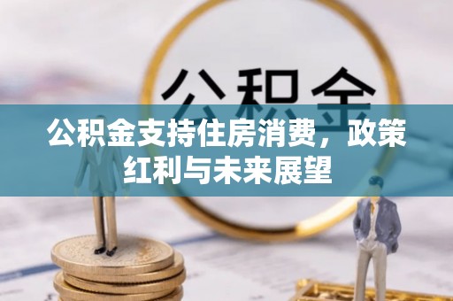 宜良公积金支持住房消费，政策红利与未来展望