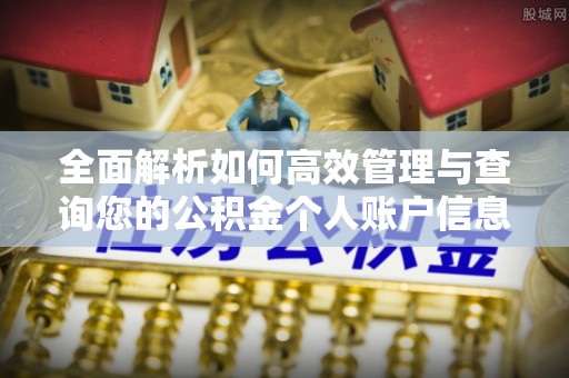 宜良全面解析如何高效管理与查询您的公积金个人账户信息