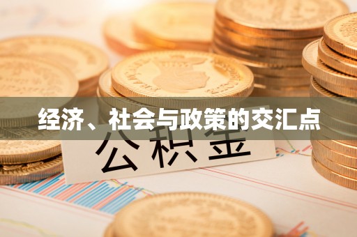 宜良经济、社会与政策的交汇点