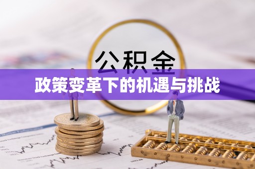 宜良政策变革下的机遇与挑战