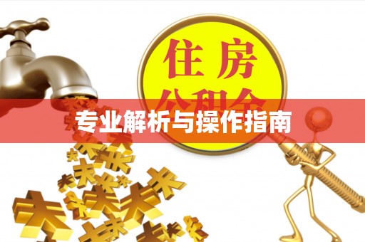 宜良专业解析与操作指南