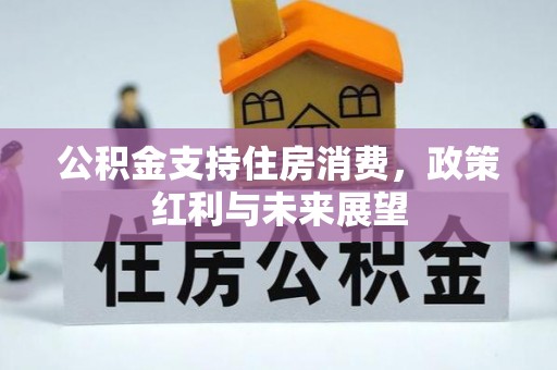 宜良公积金支持住房消费，政策红利与未来展望