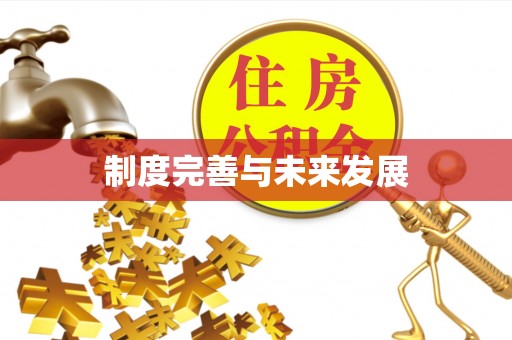 宜良制度完善与未来发展