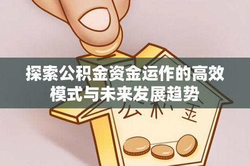 宜良探索公积金资金运作的高效模式与未来发展趋势