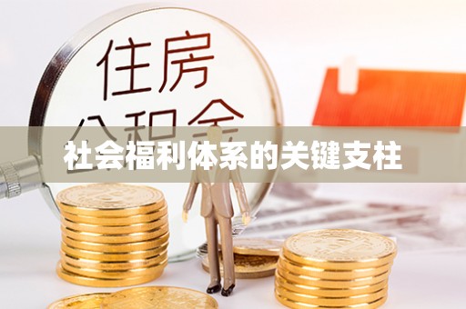 宜良社会福利体系的关键支柱
