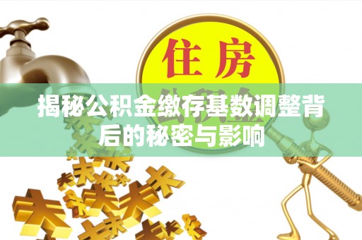 宜良揭秘公积金缴存基数调整背后的秘密与影响