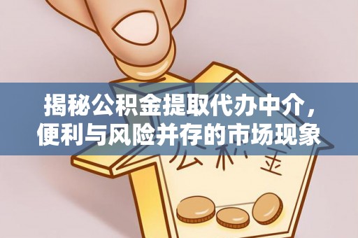 宜良揭秘公积金提取代办中介，便利与风险并存的市场现象