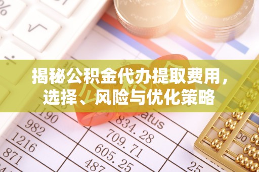 宜良揭秘公积金代办提取费用，选择、风险与优化策略