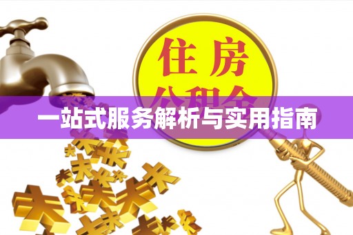 宜良一站式服务解析与实用指南