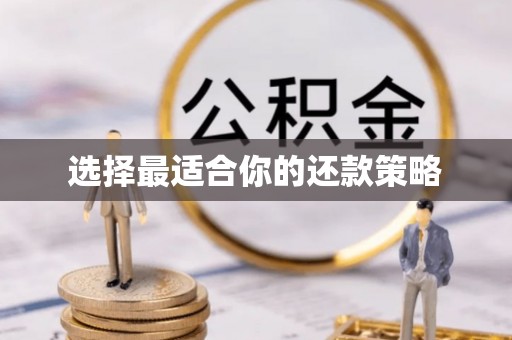 宜良选择最适合你的还款策略