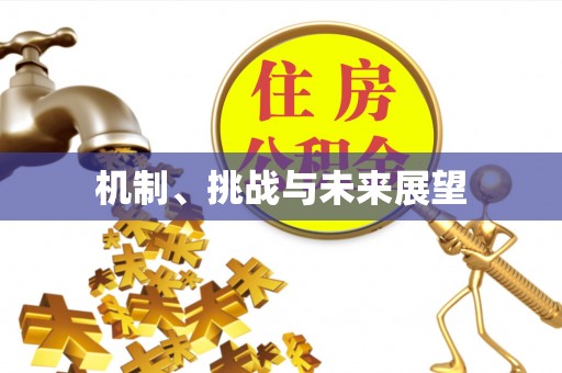 宜良机制、挑战与未来展望